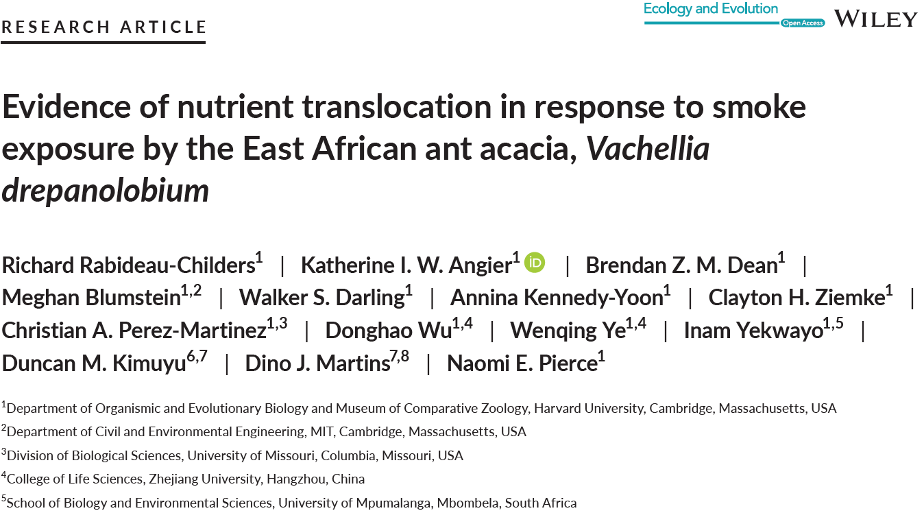 Screenshot of research article 1