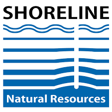 shoreline
