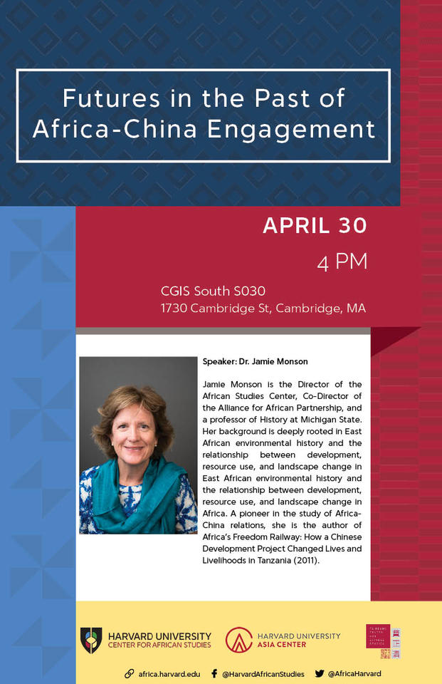 Africa China Poster